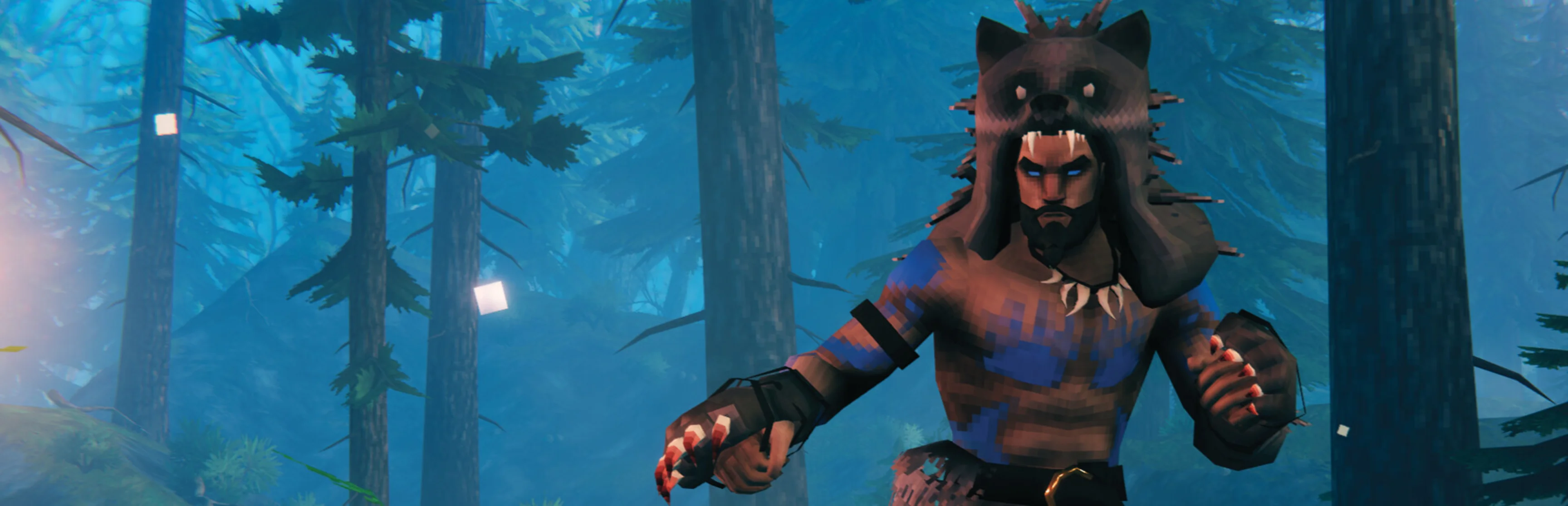 Valheim Server Hosting Banner
